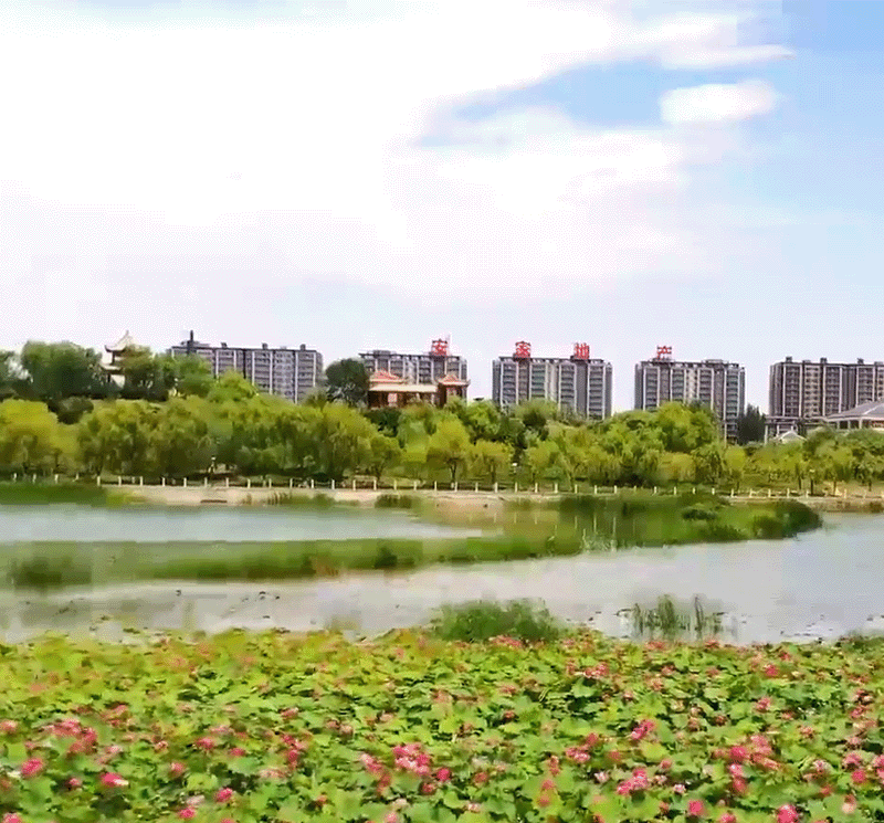 莲花湖