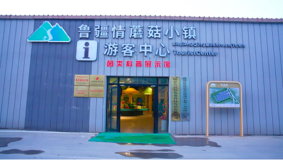 塔孜洪乡19村鲁疆情蘑菇小镇